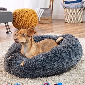 dount dog bed