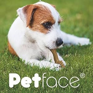 Petface