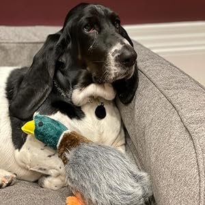 Petface Honking Duck Dog Toy