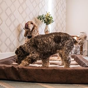 vet bed dog bed
