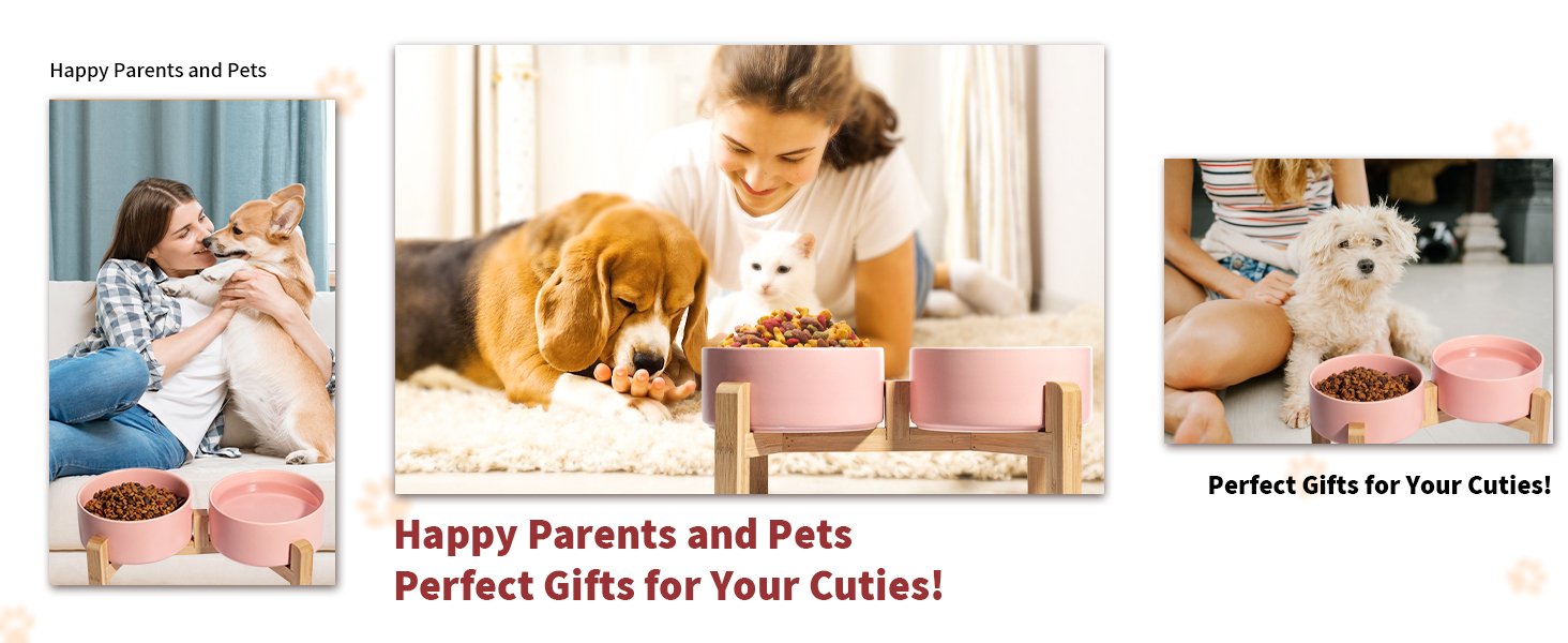 Selected food grade ceramic pet bowl set for cats and dogs give your pets the best care.