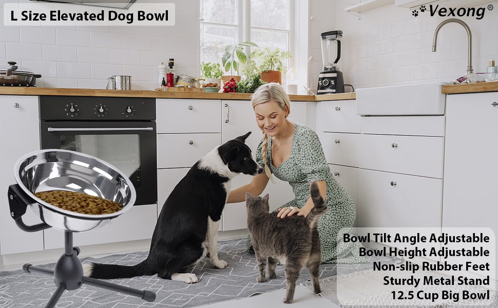 Raised Dog Bowl Non-slip Metal Stand