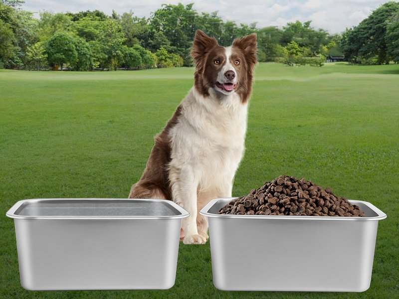 Large Dog Bowl