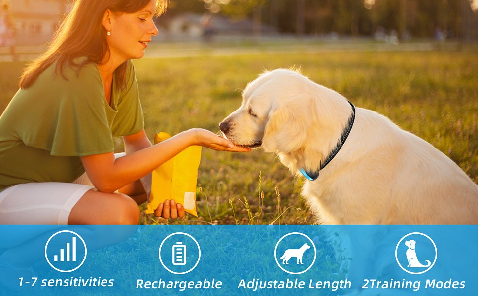 anti barking dog collar