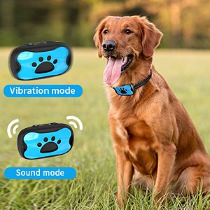 bark collar