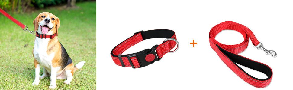 reflective dog collar