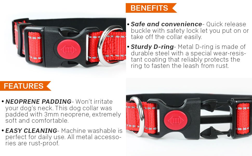 reflective dog collar