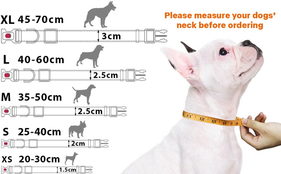 DOG COLLAR