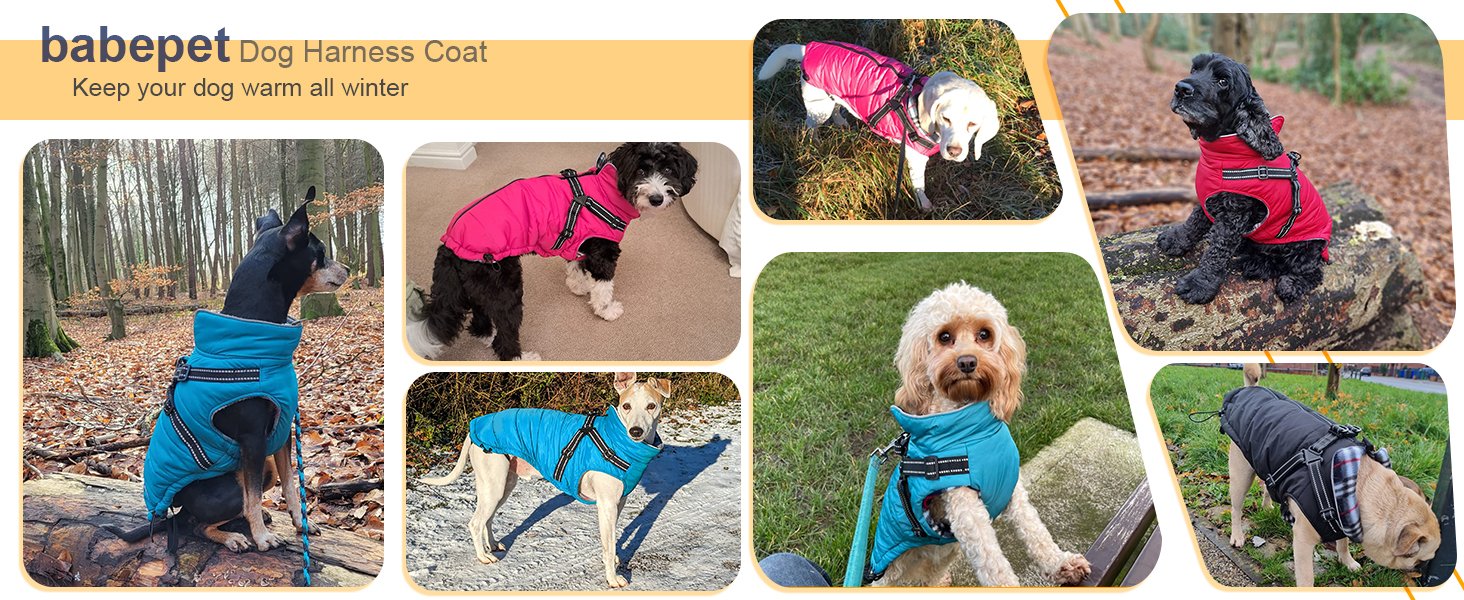 dog winter coat with harness dog coat with built-in harness small dog waterproof coat