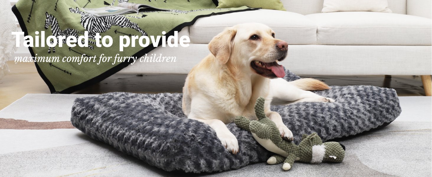 KSIIA dog bed