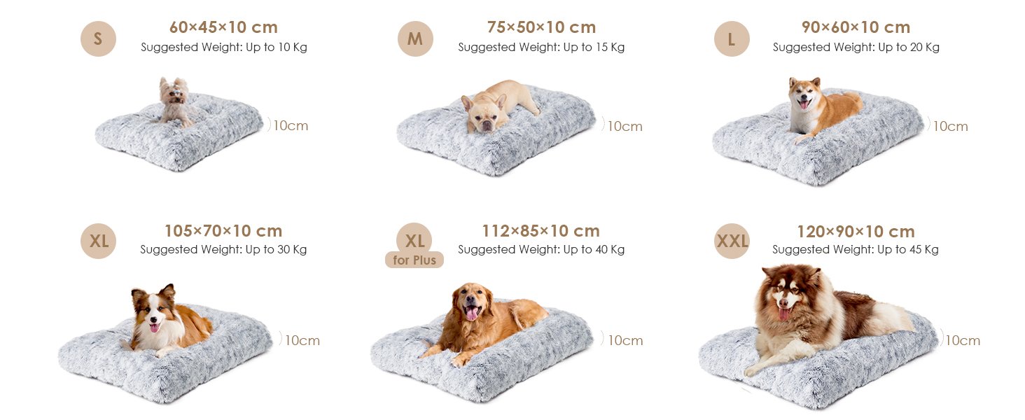 large dog bed