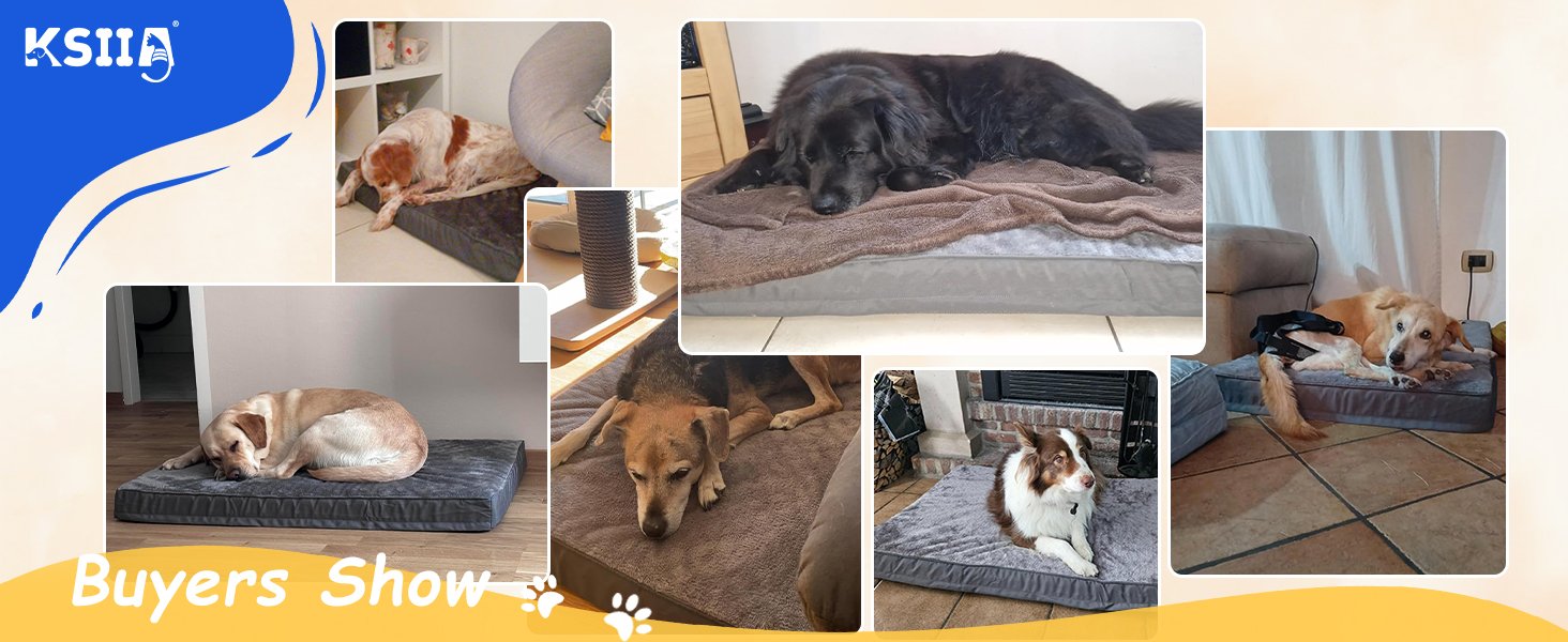 dog bed