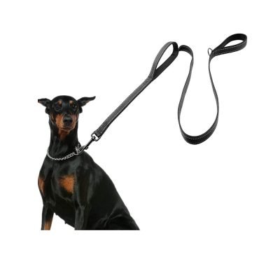 Dog Leash for Large Dogs