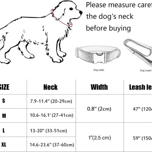 Personalised Dog Collar With Metal Buckle, Customized Pet Tags