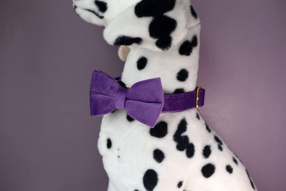 Personalised Dog Collar With Metal Buckle, Customized Pet Tags