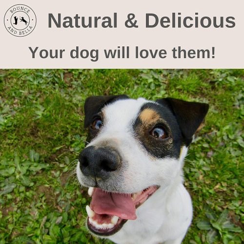 Bounce and Bella Natural Dog Chews – 100% Pure Beef Air-Dried Treats – Just One Ingredient 100g
