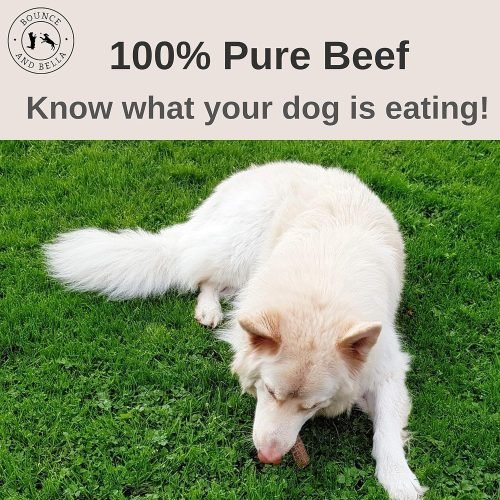 Bounce and Bella Natural Dog Chews – 100% Pure Beef Air-Dried Treats – Just One Ingredient 100g