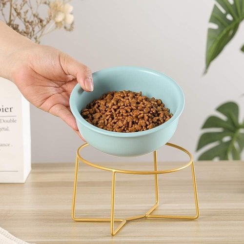 Ceramic Dog Bowls Elevated Tilted - Raised Dog Bowl with Metal Stand