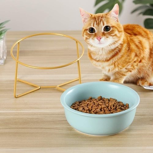 Ceramic Dog Bowls Elevated Tilted - Raised Dog Bowl with Metal Stand