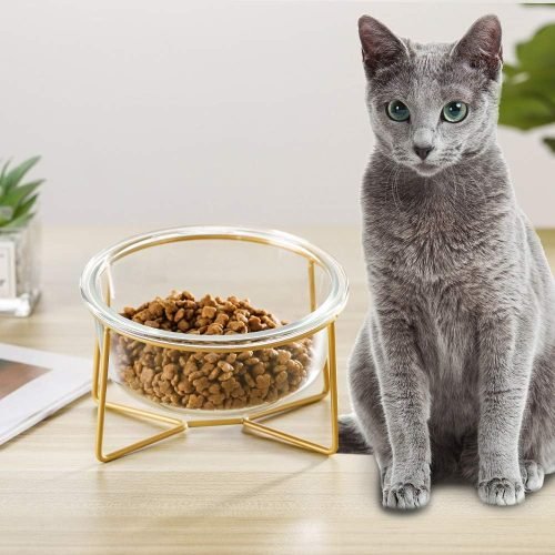 Ceramic Dog Bowls Elevated Tilted - Raised Dog Bowl with Metal Stand