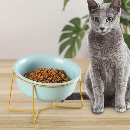 Ceramic Dog Bowls Elevated Tilted - Raised Dog Bowl with Metal Stand