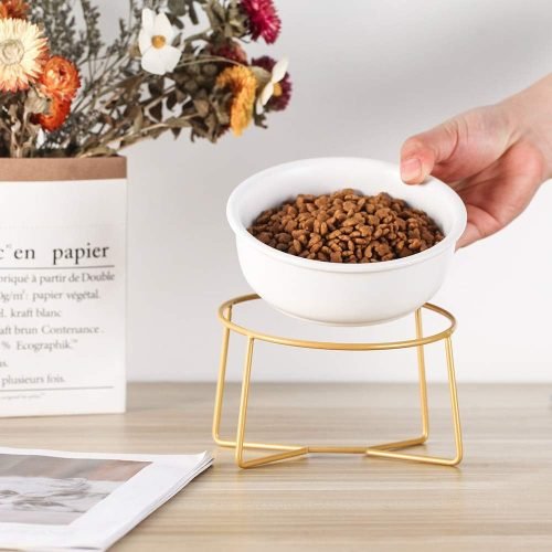 Ceramic Dog Bowls Elevated Tilted - Raised Dog Bowl with Metal Stand