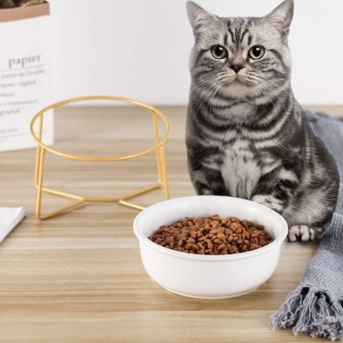 Ceramic Dog Bowls Elevated Tilted - Raised Dog Bowl with Metal Stand