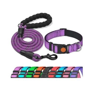 Haapaw Reflective Dog Collar Padded with Soft Neoprene Breathable Adjustable Nylon Dog Collars for Small Medium Large Dogs