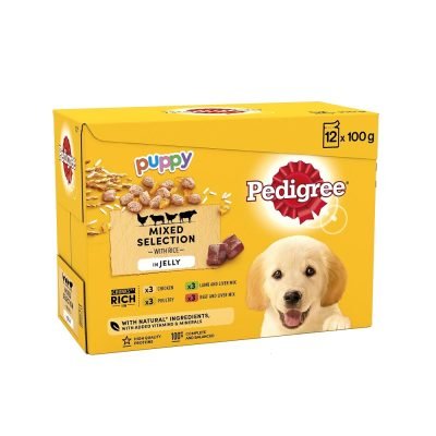 Pedigree Junior Wet Dog Food for Young Dogs and Puppies,