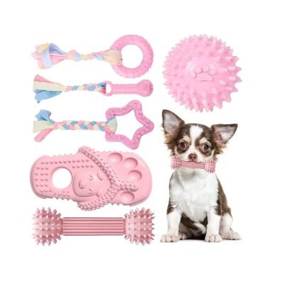 TENGZHI 6 PACK Durable Rubber Chew Toys for Puppies Small Dogs