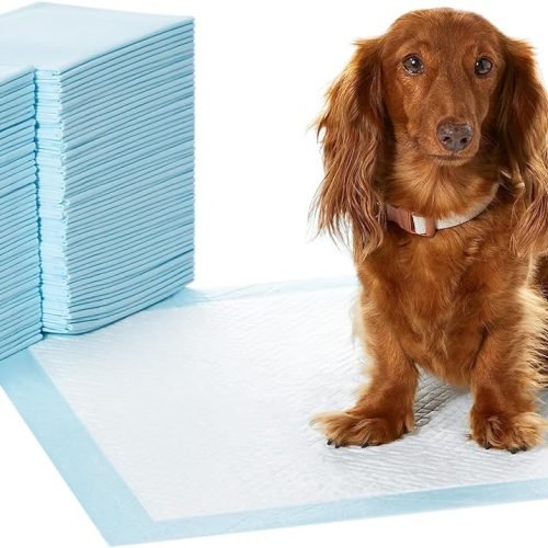 Amazon Basics Dog and Puppy Training Pads