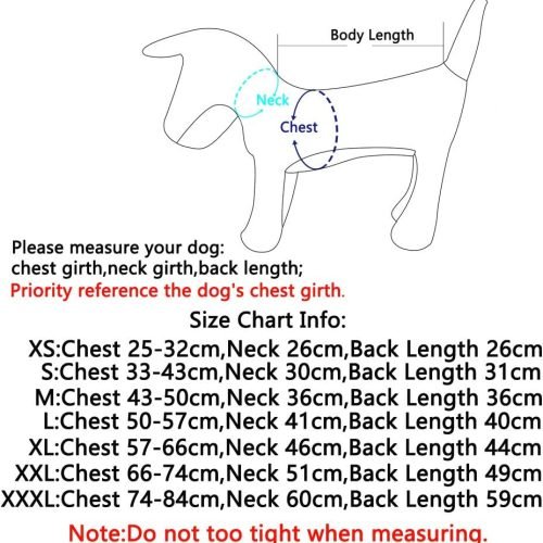 JoyDaog Reversible Dog Coats for Small Dogs