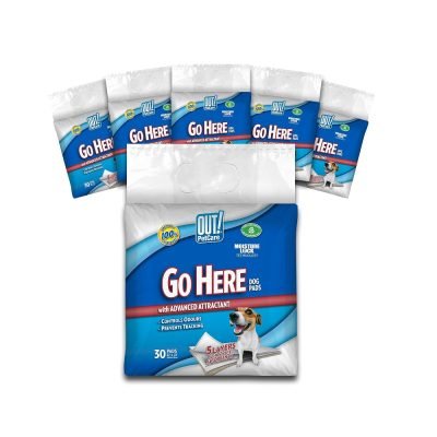 OUT! Go Here Absorbent Pet and Puppy Training Pads