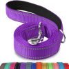 Joytale Padded Handle Dog Lead