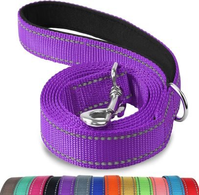 Joytale Padded Handle Dog Lead
