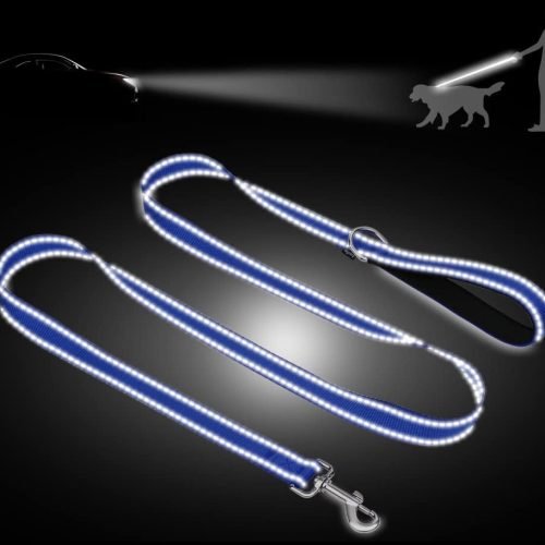 Taglory Dog Leads for Small Medium Dogs