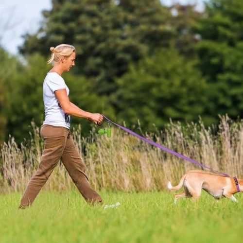 Taglory Dog Leads for Small Medium Dogs