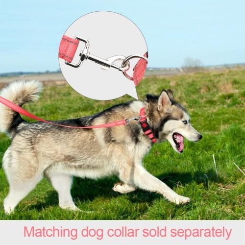 Taglory Dog Leads for Small Medium Dogs