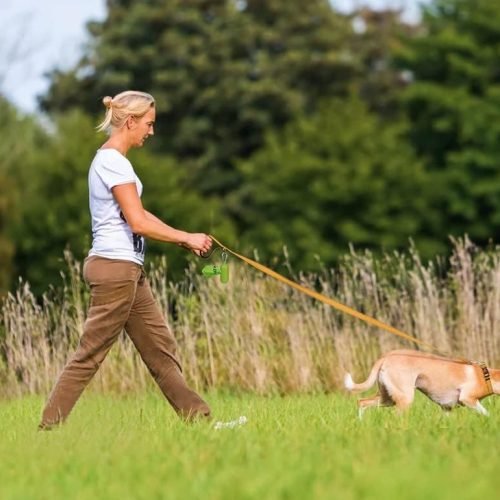 Taglory Dog Leads for Small Medium Dogs