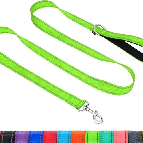 Taglory Dog Leads for Small Medium Dogs