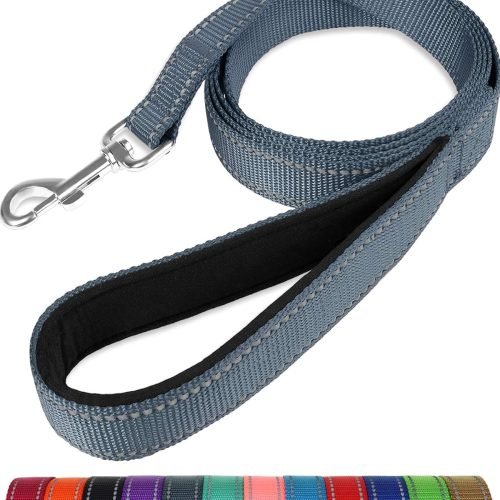 Taglory Dog Leads for Small Medium Dogs