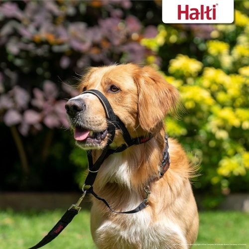 HALTI Headcollar Size 3 Black, UK Bestselling Harness to Stop Pulling on the Lead