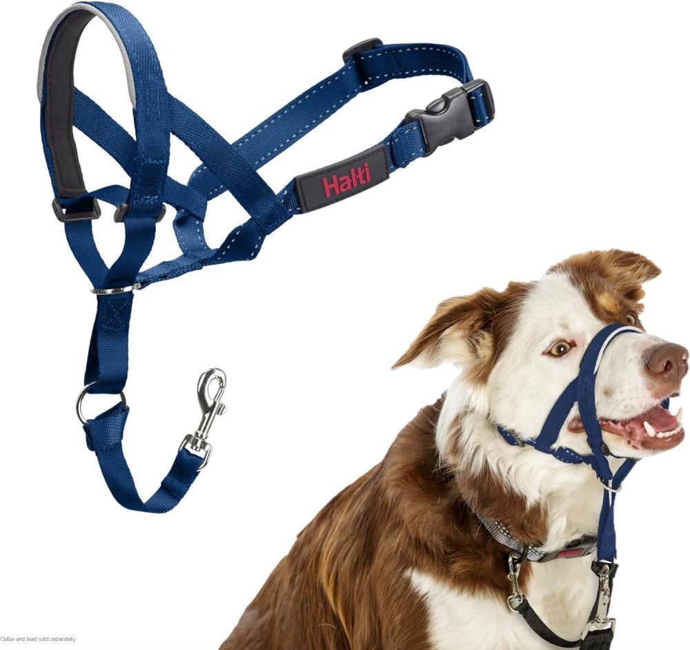 Halti harness and lead hotsell