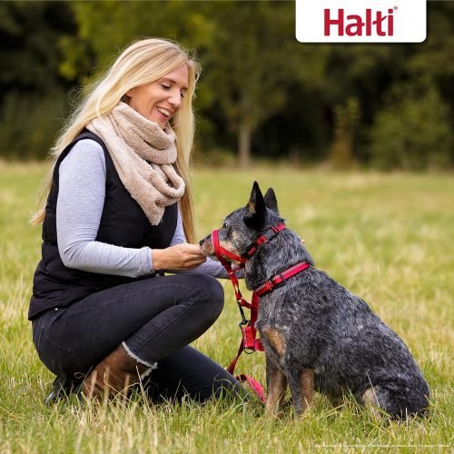 HALTI Headcollar Size 3 Black, UK Bestselling Harness to Stop Pulling on the Lead