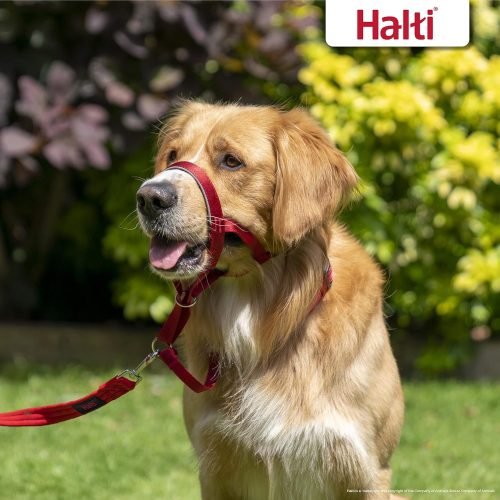 HALTI Headcollar Size 3 Black, UK Bestselling Harness to Stop Pulling on the Lead