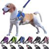 Moonpet Personalized No Pull Dog Harness Leash Set with Custom Name and Phone Number