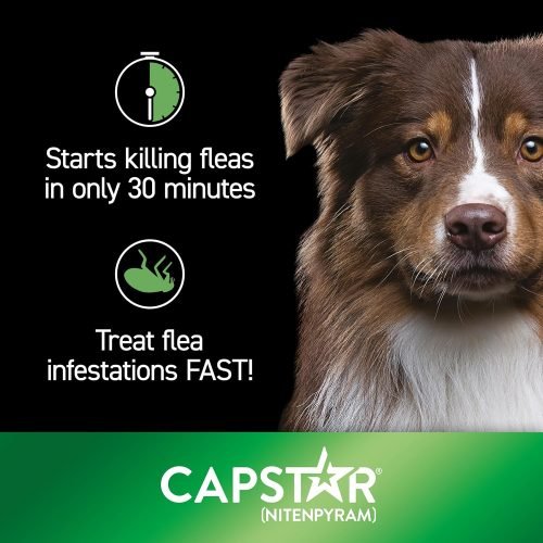 Capstar Flea Tablets for Medium and Large Dogs