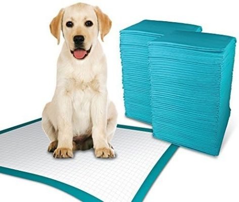 TBM Puppy Pads Large Size Pack of 50 60 x 60