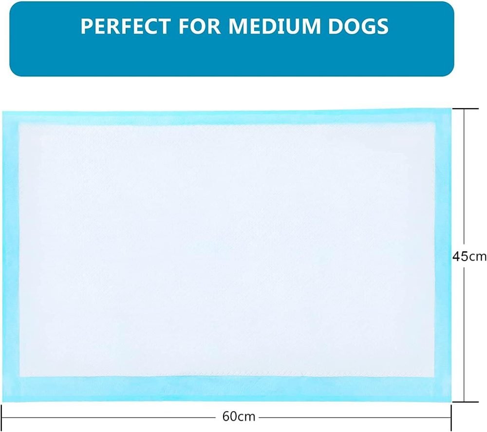 Edipets, Puppy Pads, Dog Training Pads, 45 x 60, Pack of 40, Absorbent Training Pads