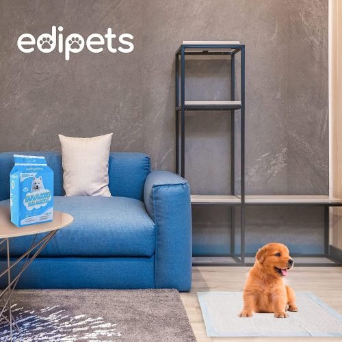 Edipets, Puppy Pads, Dog Training Pads, 45 x 60, Pack of 40, Absorbent Training Pads